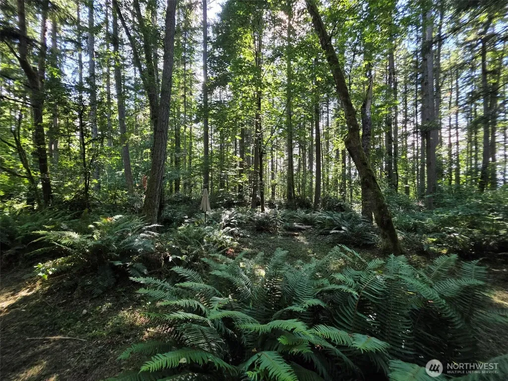 23601 Landers Road SW Vashon WA 98070