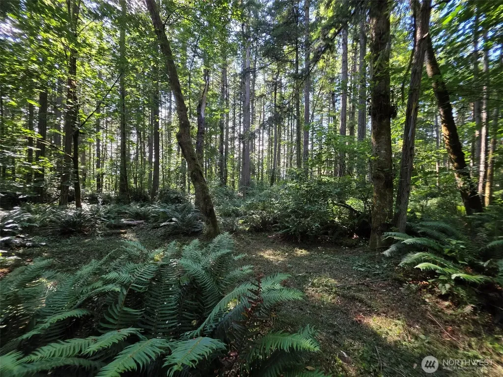 23601 Landers Road SW Vashon WA 98070