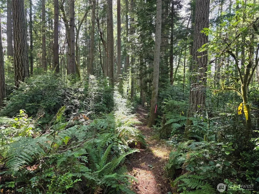 23601 Landers Road SW Vashon WA 98070