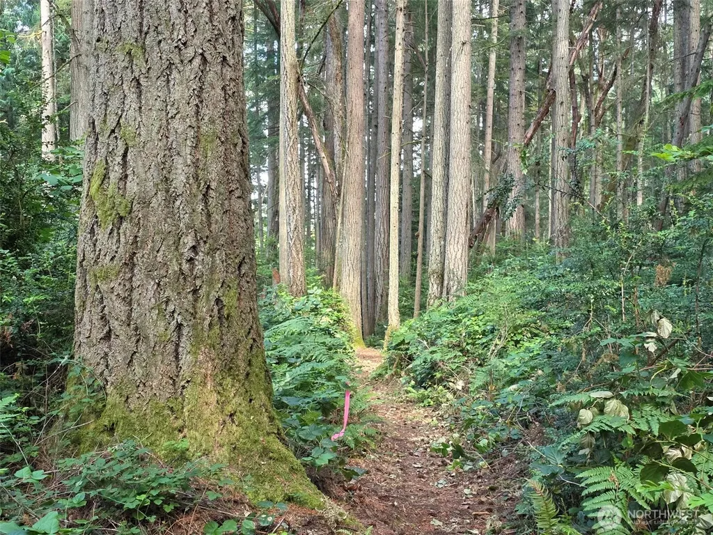 23601 Landers Road SW Vashon WA 98070