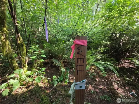 23601 Landers Road SW Vashon WA 98070