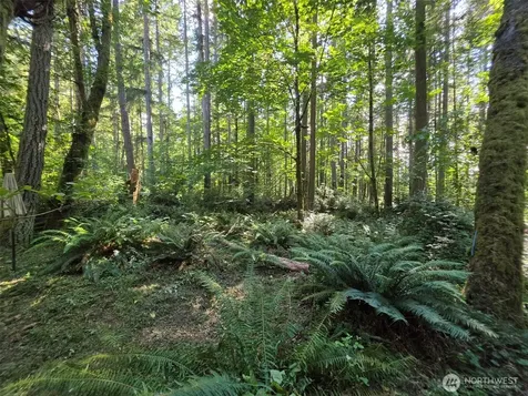 23601 Landers Road SW Vashon WA 98070