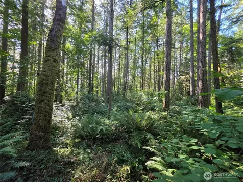 23601 Landers Road SW Vashon WA 98070