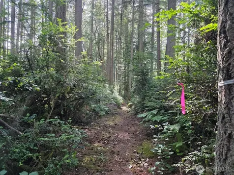 23601 Landers Road SW Vashon WA 98070