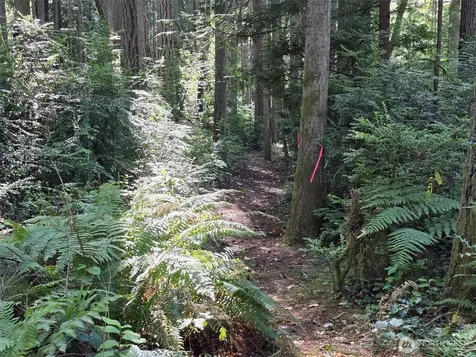 23601 Landers Road SW Vashon WA 98070