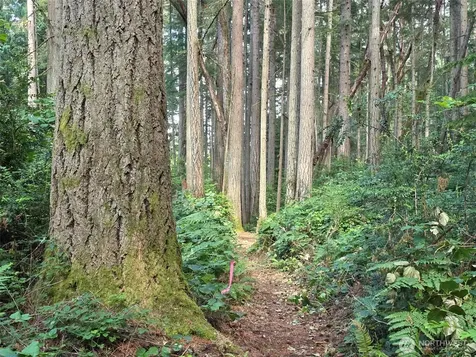 23601 Landers Road SW Vashon WA 98070