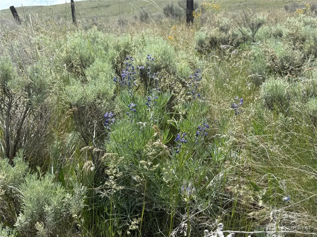 0 Titchenal Canyon Road SW Waterville WA 98858