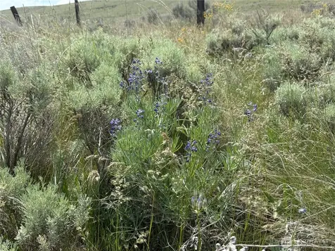 0 Titchenal Canyon Road SW Waterville WA 98858