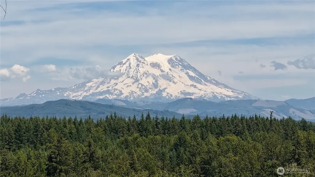 38922 Madrona Drive E Roy WA 98580