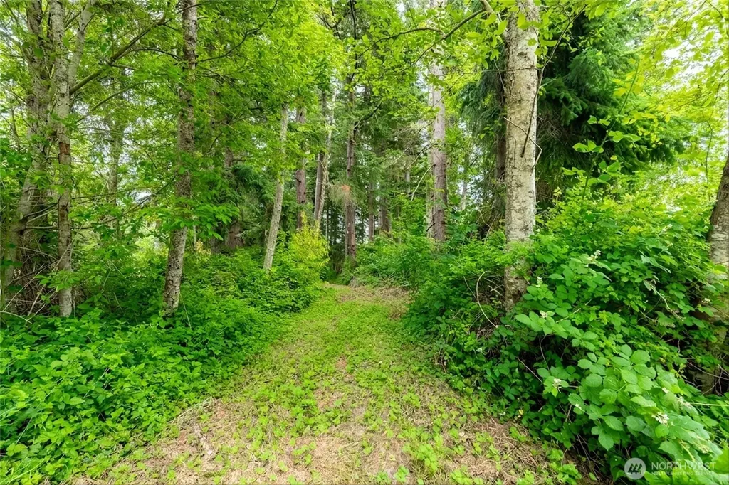 5027 Yellow Brick Road Bellingham WA 98226