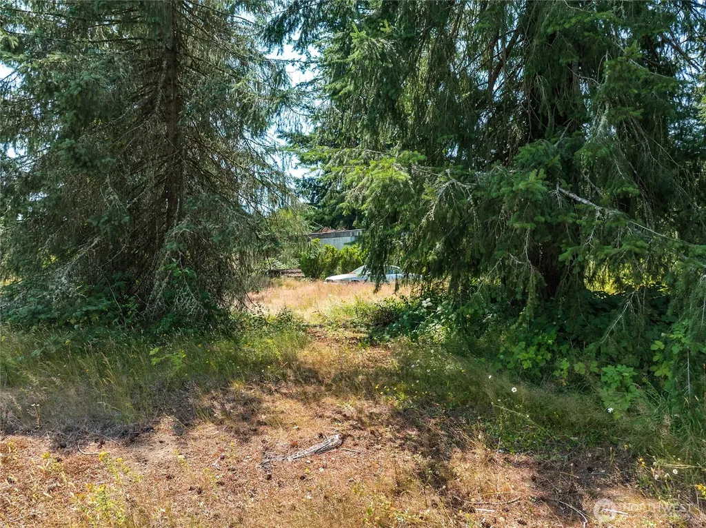 21115 Renton Maple Valley Road Maple Valley WA 98038