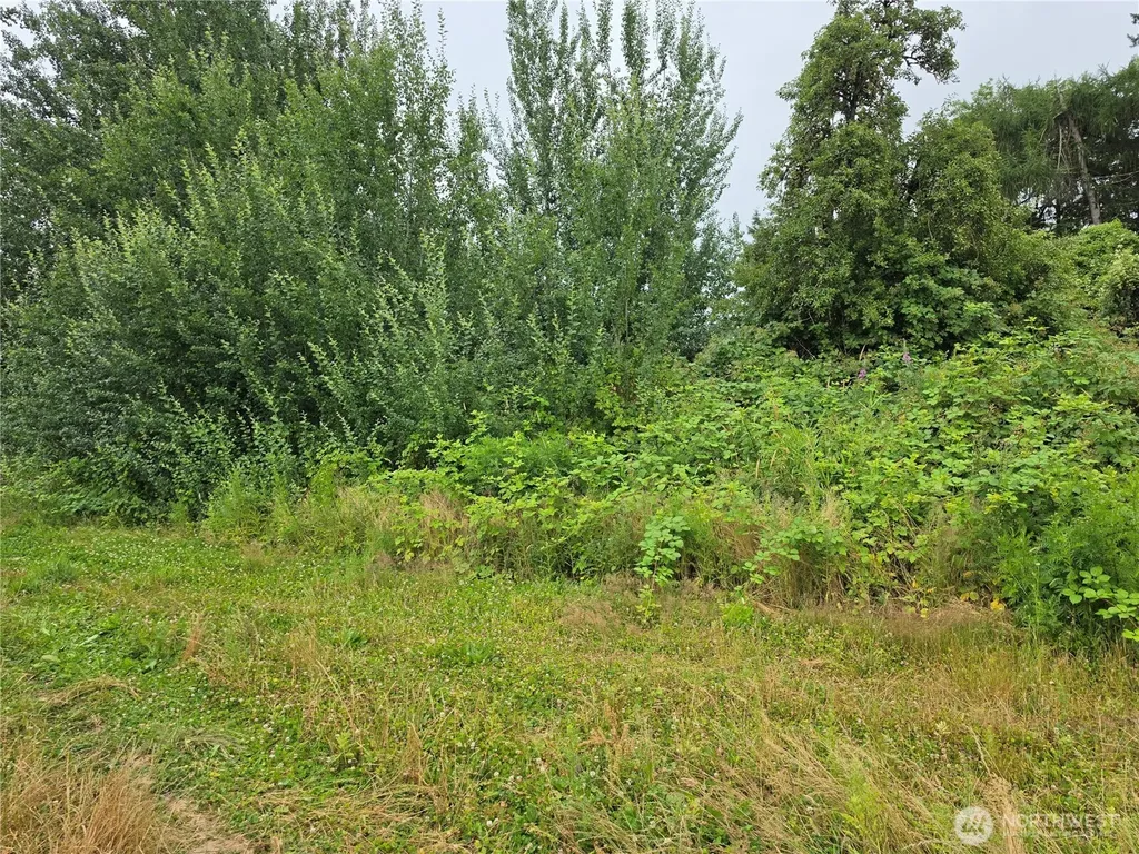 0 Benson Road Lynden WA 98264