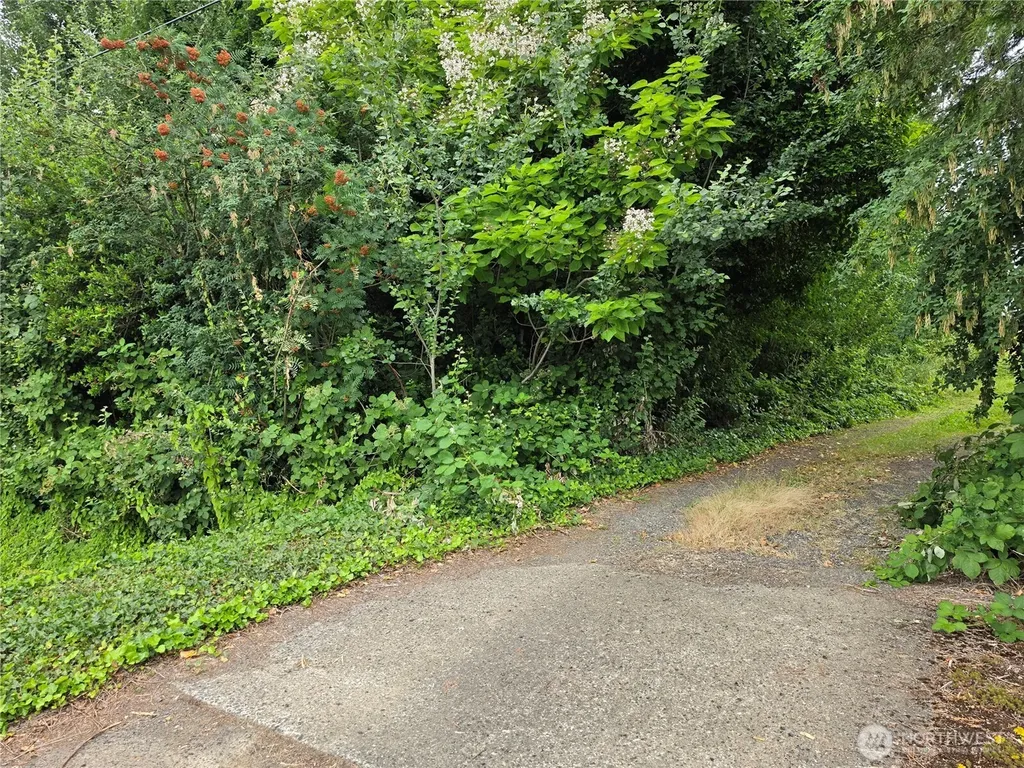 0 Benson Road Lynden WA 98264
