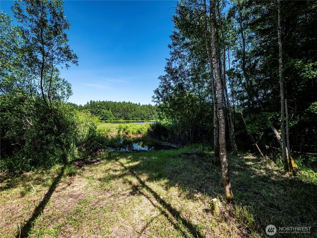 4742 Ruddell Road SE Lacey WA 98503
