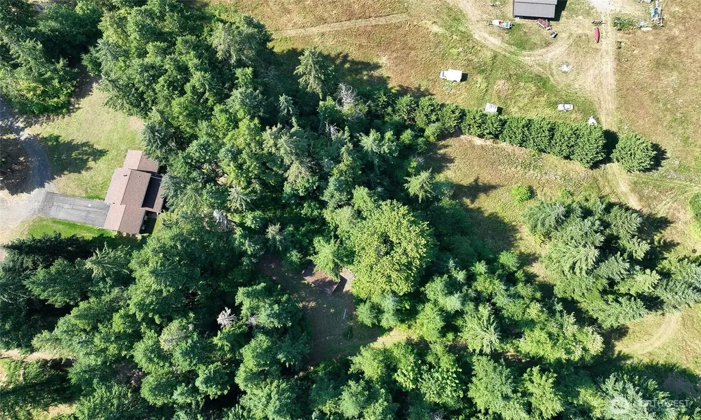 15016 Palmer Lane SE Tenino WA 98589