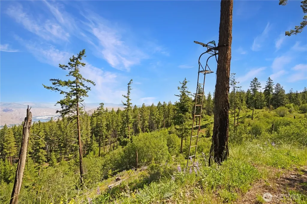 0 Melvin Road Waterville WA 98858