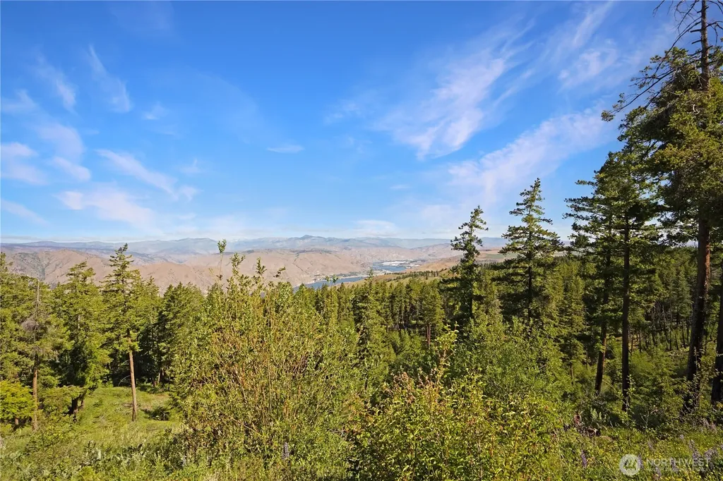 0 Melvin Road Waterville WA 98858