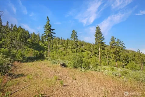 0 Melvin Road Waterville WA 98858