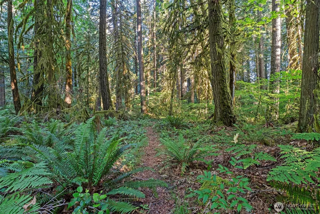 1052 E Mason Lake Drive W Grapeview WA 98546