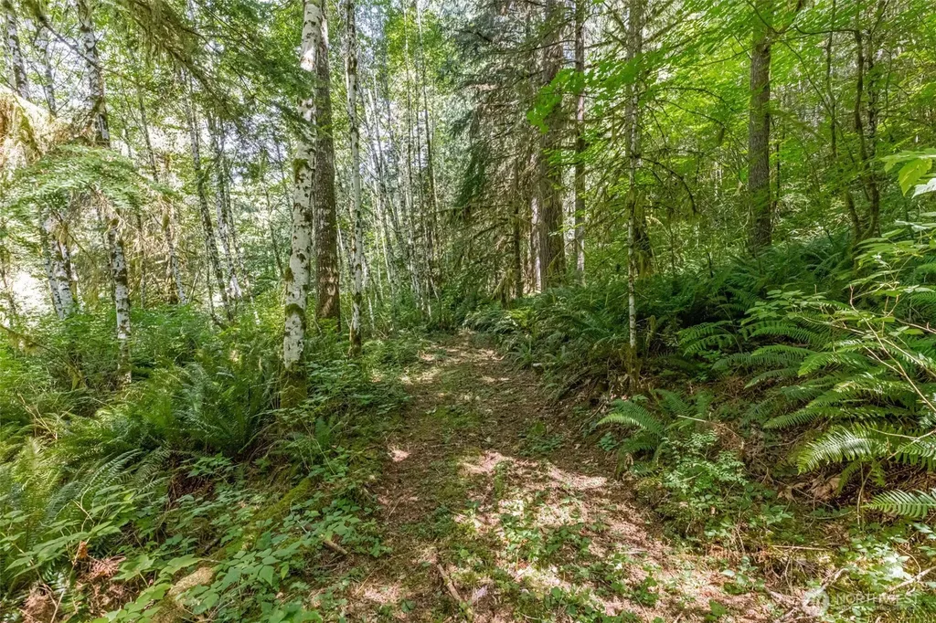 2682 E Lake Riley Road Arlington WA 98223