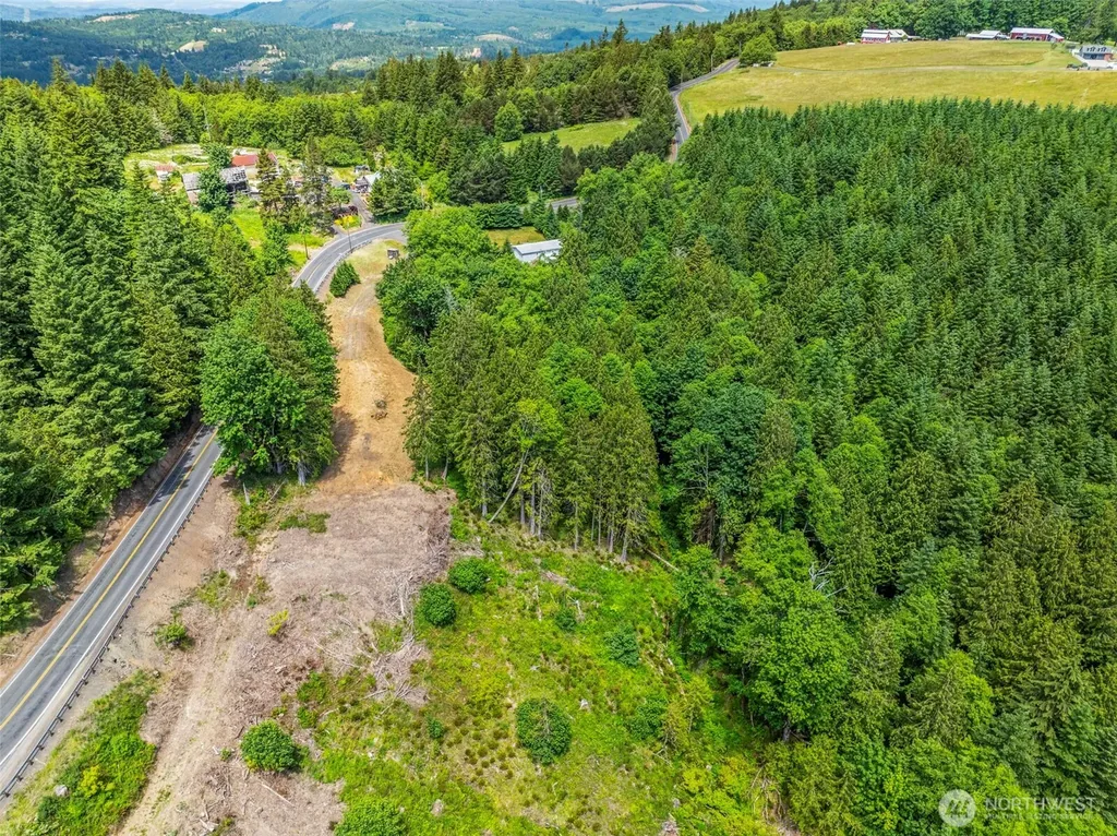 1899 Mt Pleasant Road Kelso WA 98626