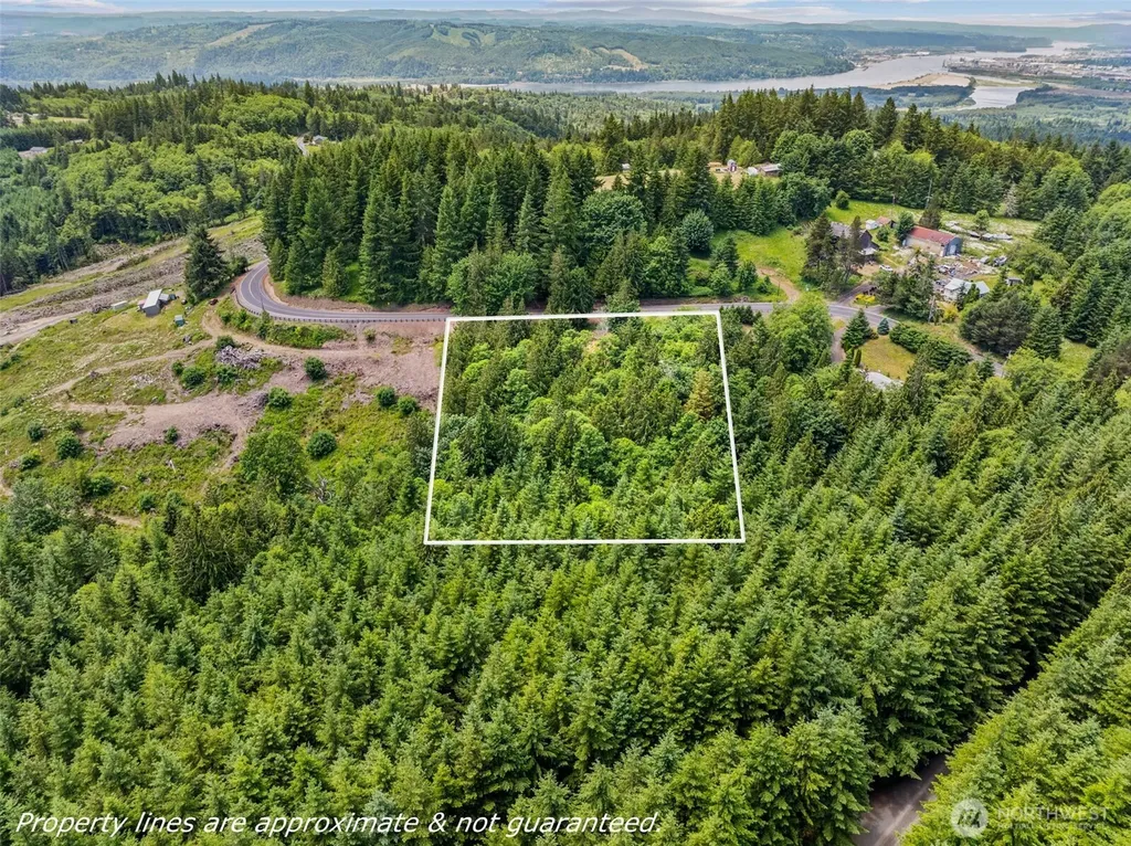 1899 Mt Pleasant Road Kelso WA 98626