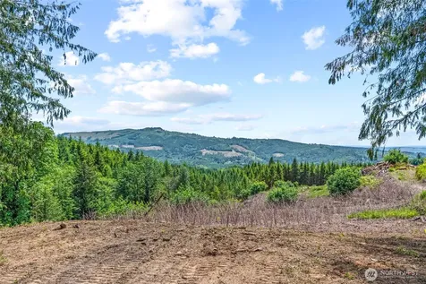1899 Mt Pleasant Road Kelso WA 98626