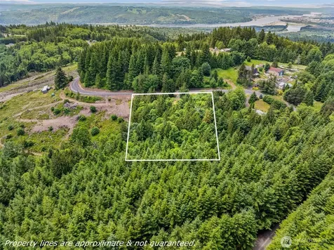 1899 Mt Pleasant Road Kelso WA 98626