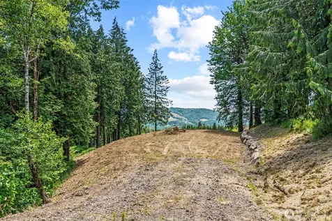 1899 Mt Pleasant Road Kelso WA 98626
