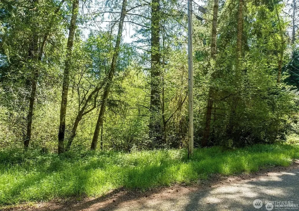 10515 Edgewood Drive Anderson Island WA 98303
