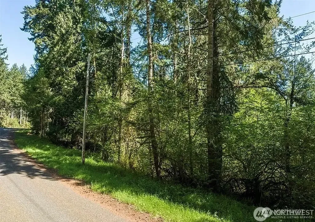 10515 Edgewood Drive Anderson Island WA 98303