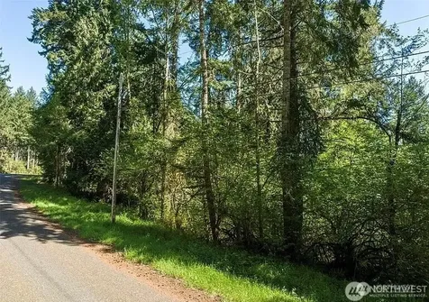 10515 Edgewood Drive Anderson Island WA 98303