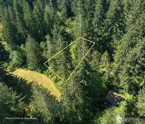 10515 Edgewood Drive Anderson Island WA 98303