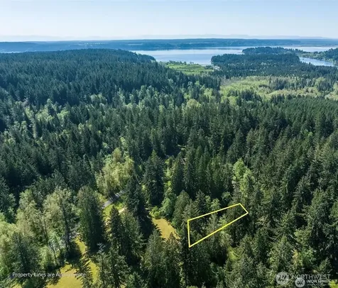 10515 Edgewood Drive Anderson Island WA 98303