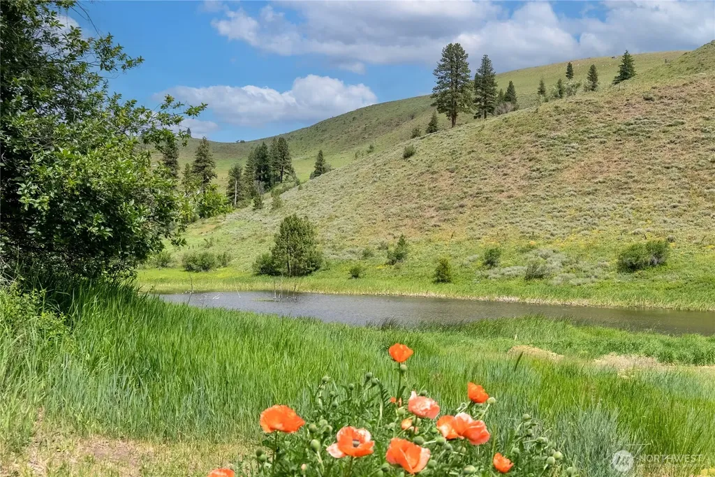494 Rendezvous Road Winthrop WA 98862