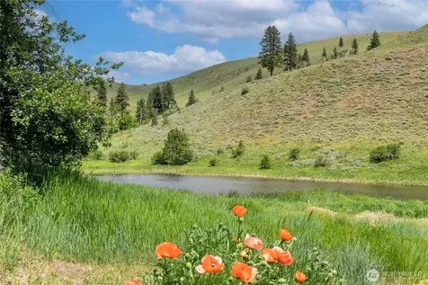 494 Rendezvous Road Winthrop WA 98862