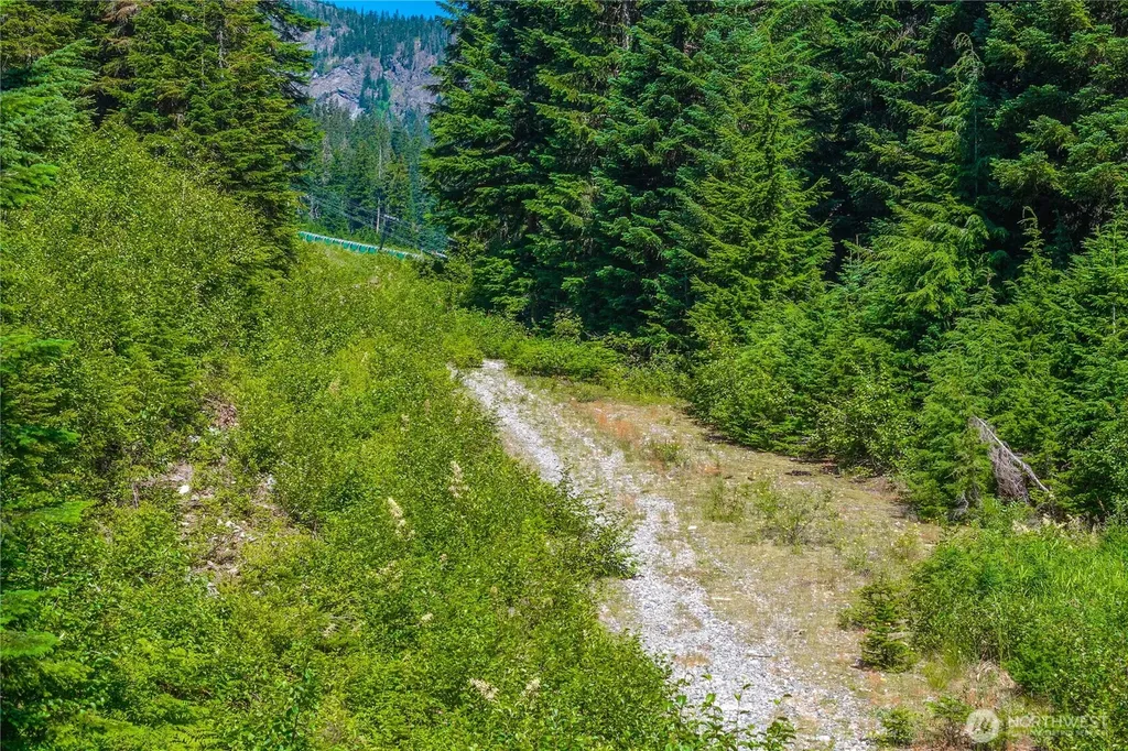17800 Alpental Access Road North Bend WA 98045