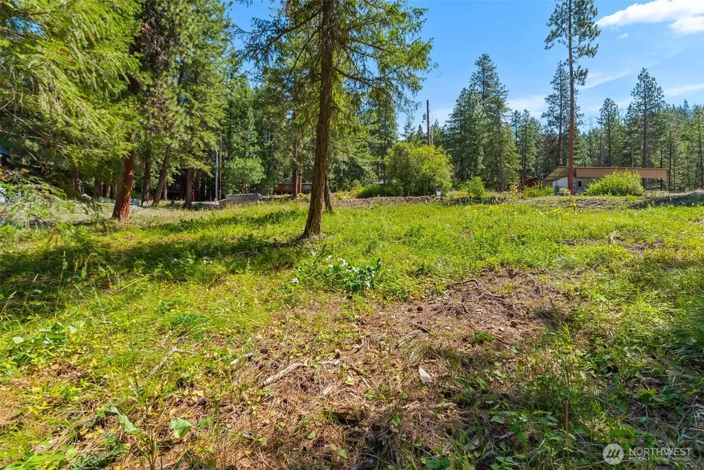 22126 Appaloosa Lane Leavenworth WA 98826