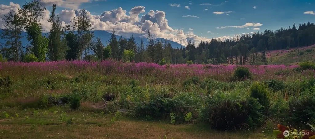33308 South Skagit Highway Sedro Woolley WA 98284