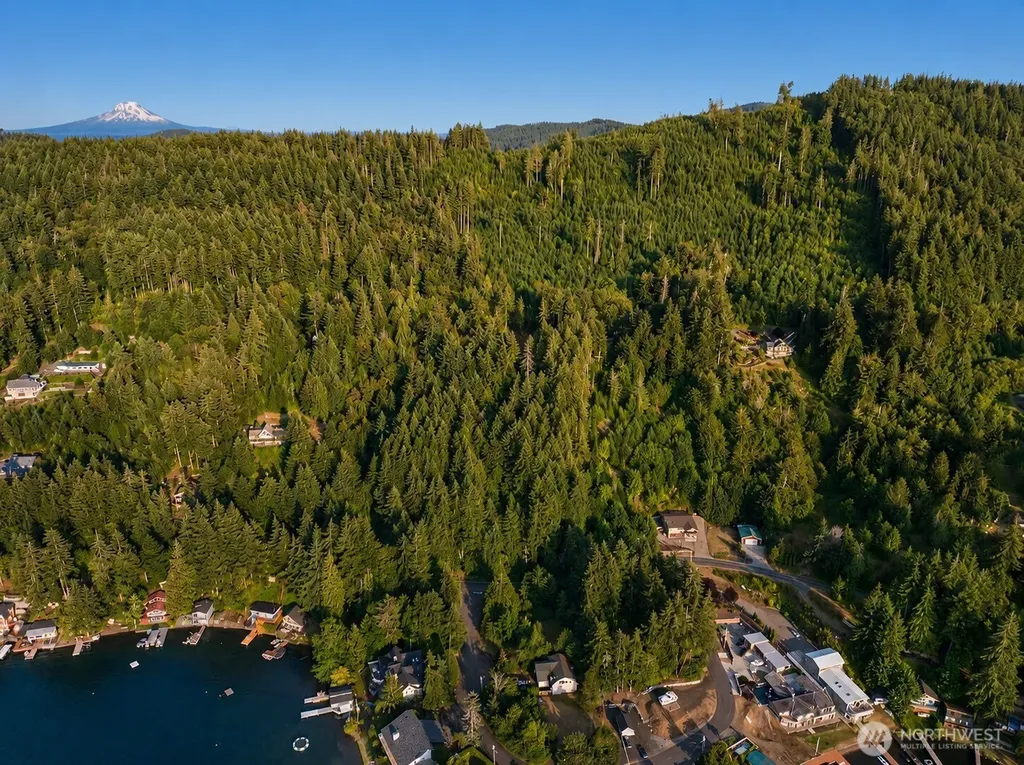 1102 NW Summit Lake Shore Road Olympia WA 98502