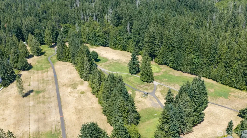 61 N Mt Noyes Way Hoodsport WA 98548