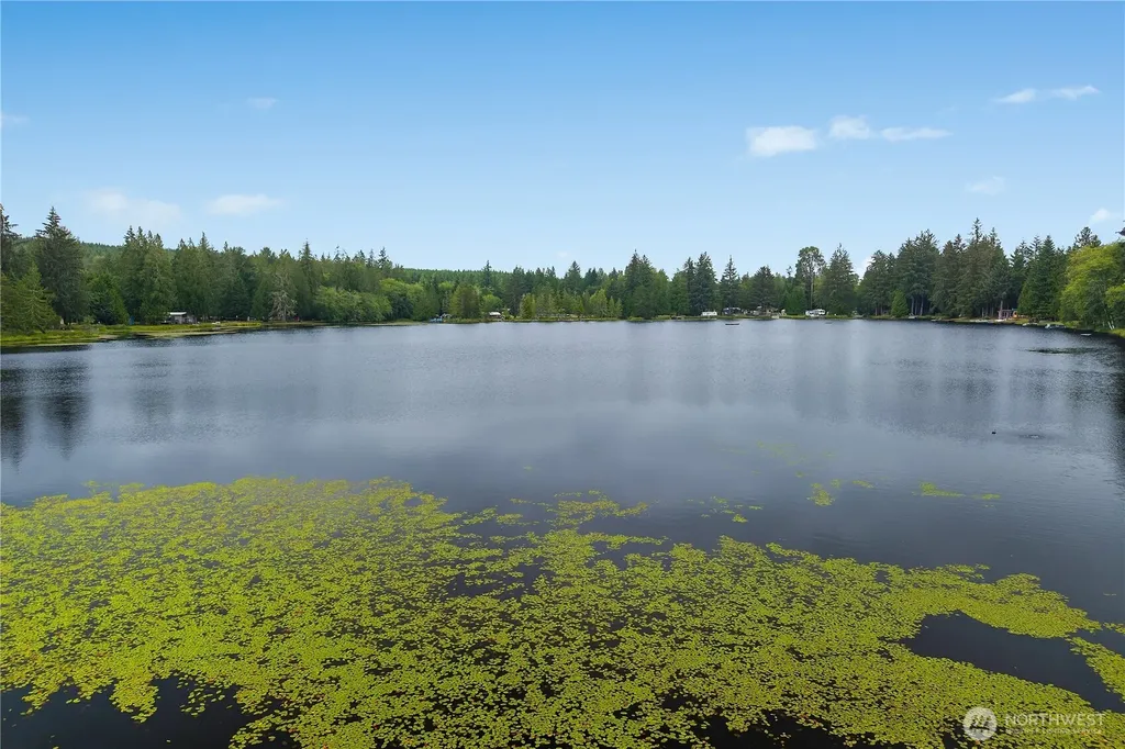 53 Lake Arrowhead Elma WA 98541