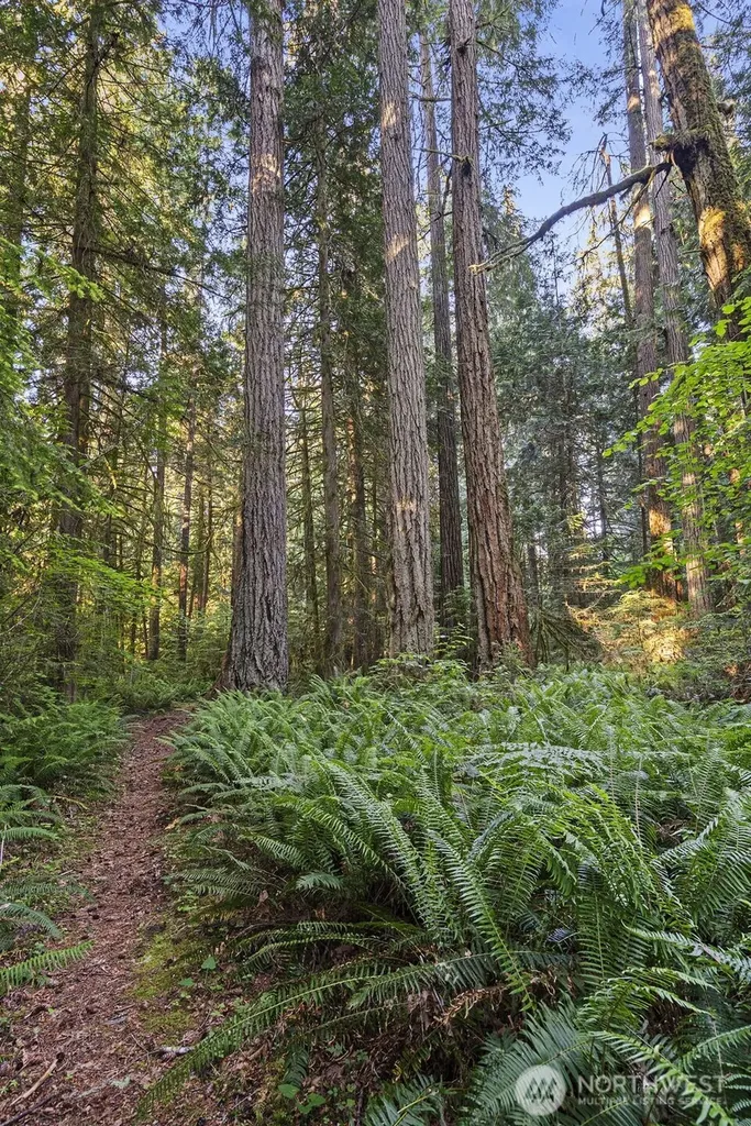 1052 E Mason Lake Drive W Grapeview WA 98546