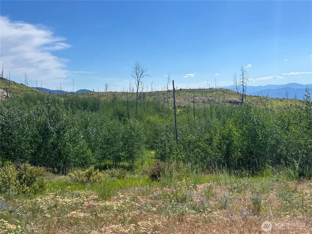 0 Lone Spur Road Oroville WA 98844