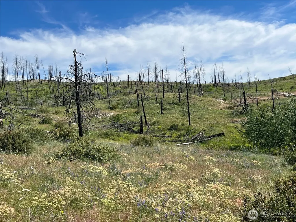 0 Lone Spur Road Oroville WA 98844