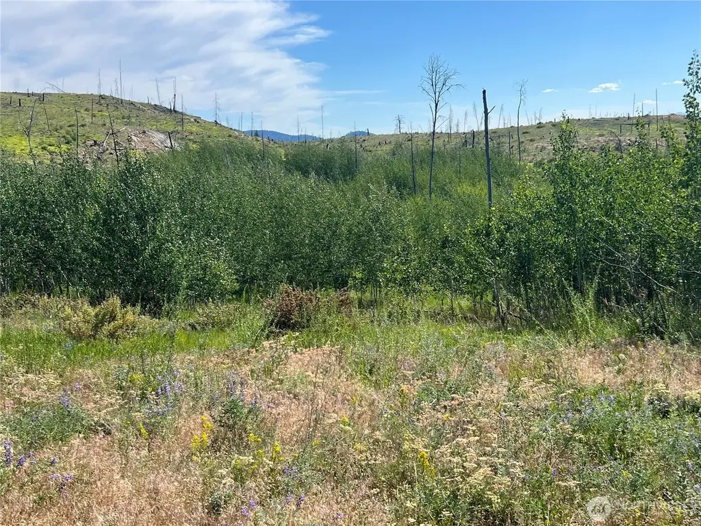 0 Lone Spur Road Oroville WA 98844