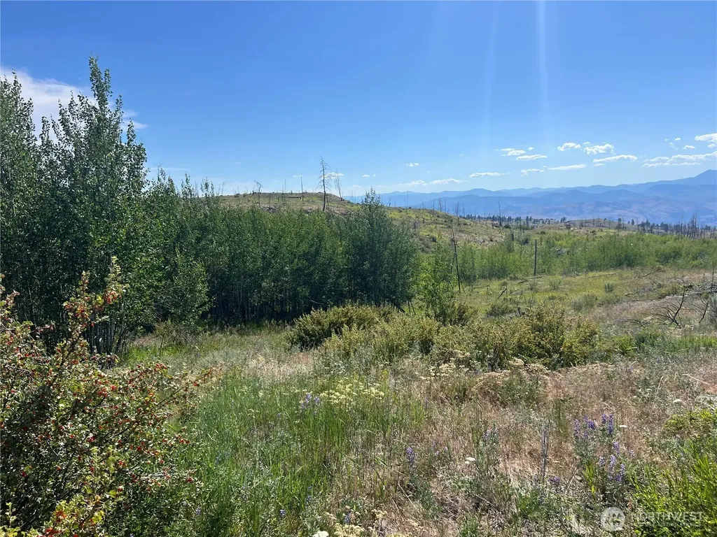0 Lone Spur Road Oroville WA 98844