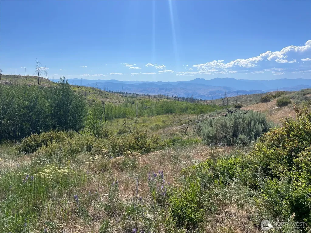 0 Lone Spur Road Oroville WA 98844