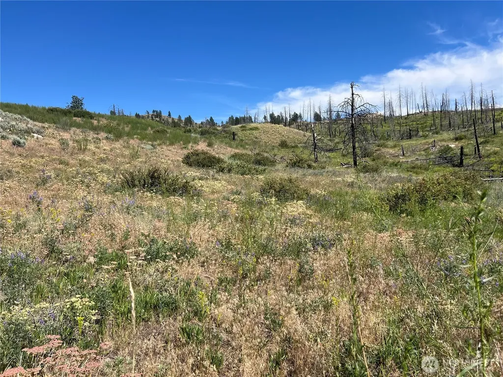 0 Lone Spur Road Oroville WA 98844