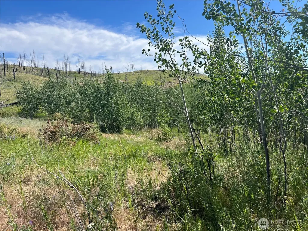 0 Lone Spur Road Oroville WA 98844